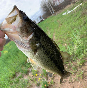 Meet your Posher, Aaron